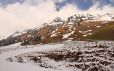 Le long de la Vièze de Morgins
