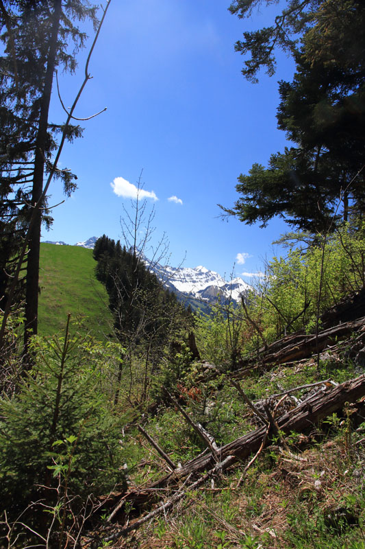 Randonnée - Vanil de la Monse