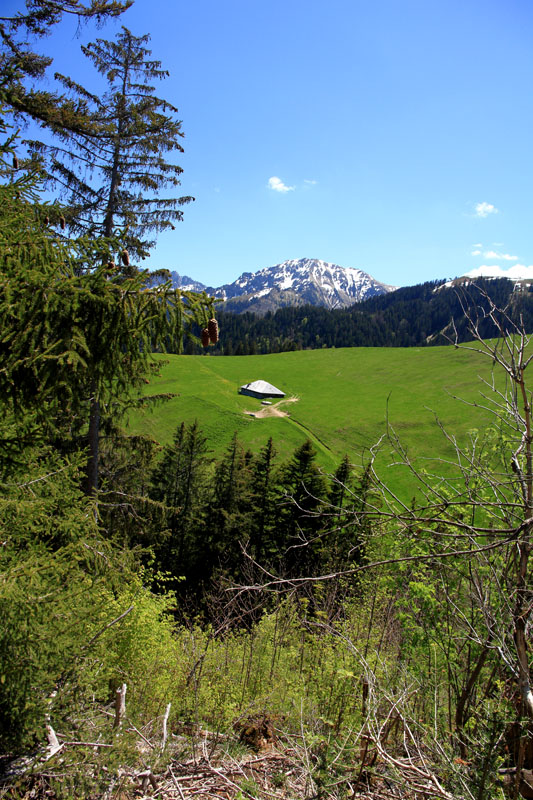 Randonnée - Vanil de la Monse