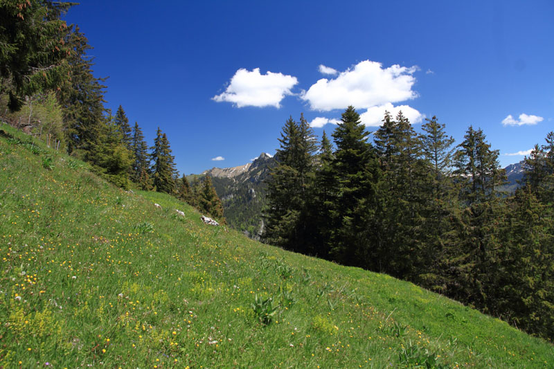 Randonnée - Vanil de la Monse
