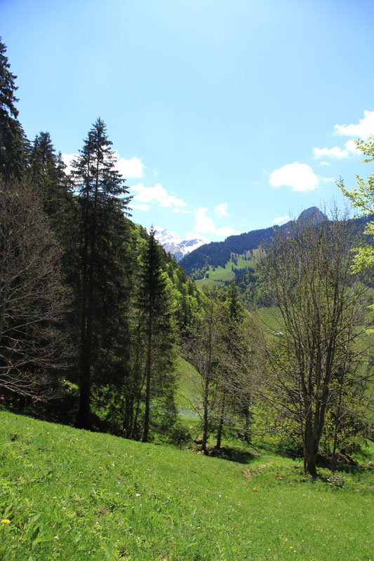 Randonnée - Vanil de la Monse