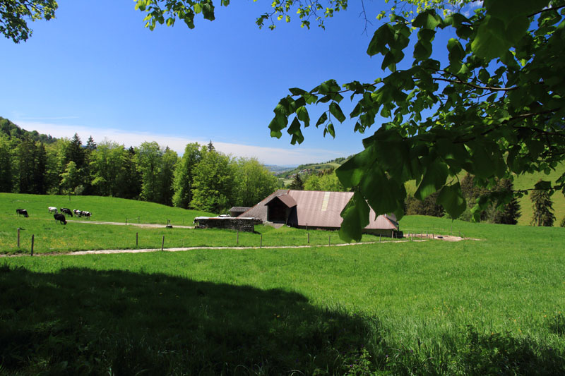 Randonnée - Vanil de la Monse