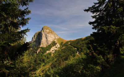 Tour de la Dent de Jaman