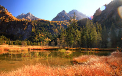 Tour du lac de Lauenen