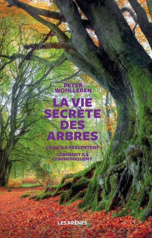 Bibliothèque - La vie secrète des arbres