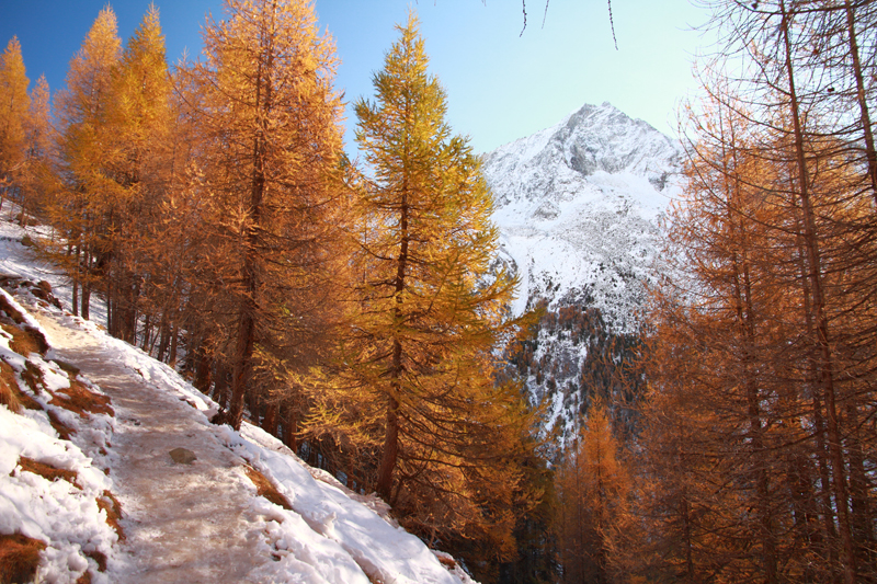 Randonnée - Lac bleu d’Arolla
