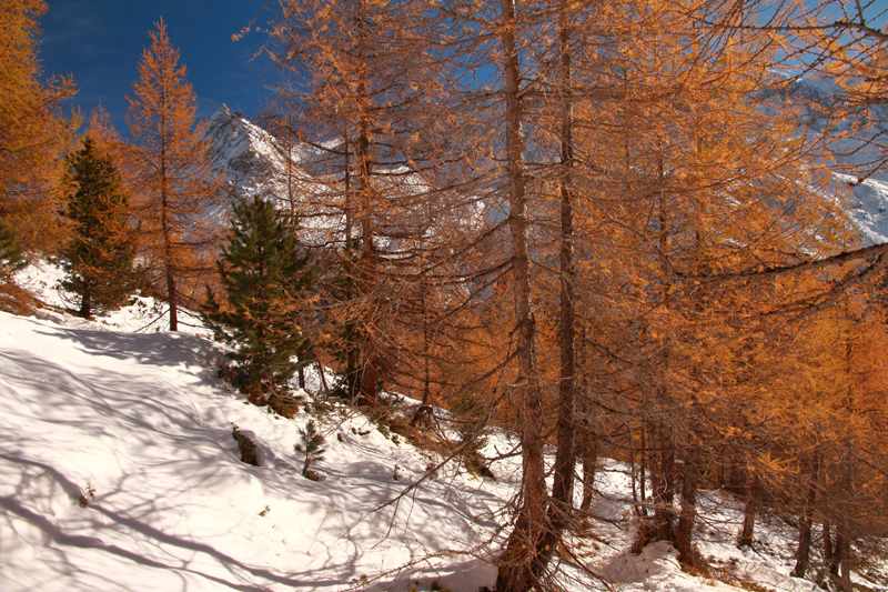 Randonnée - Lac bleu d’Arolla
