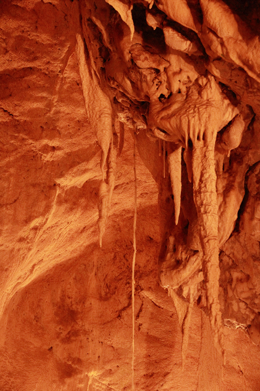 Visite - Grottes de Vallorbe