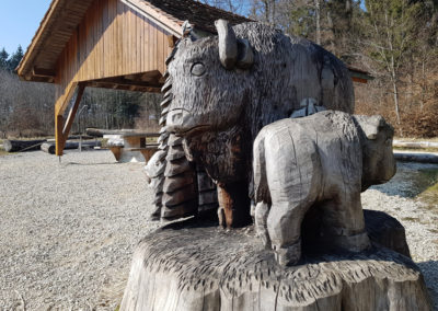 Randonnée - Les bisons de Suchy - Le parc