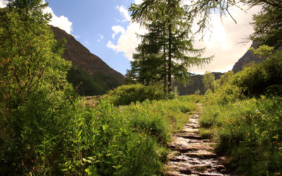 Rhêmes-Notre-Dame, Italie