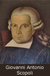 Giovanni Antonio Scopoli