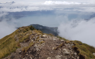 C’est presque l’Everest – 2023 avec Nature & Découvertes