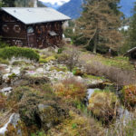 Visite - Jardin botanique alpin Flore-Alpe