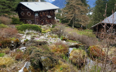 Jardin botanique alpin Flore-Alpe