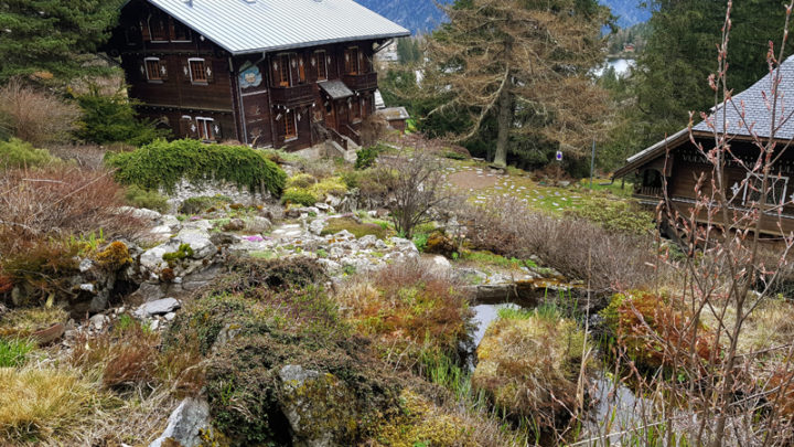 Jardin botanique alpin Flore-Alpe