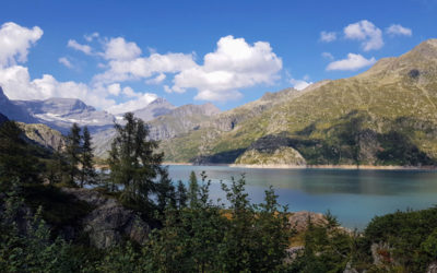 Sur la trace des dinosaures avec Nature & Découvertes