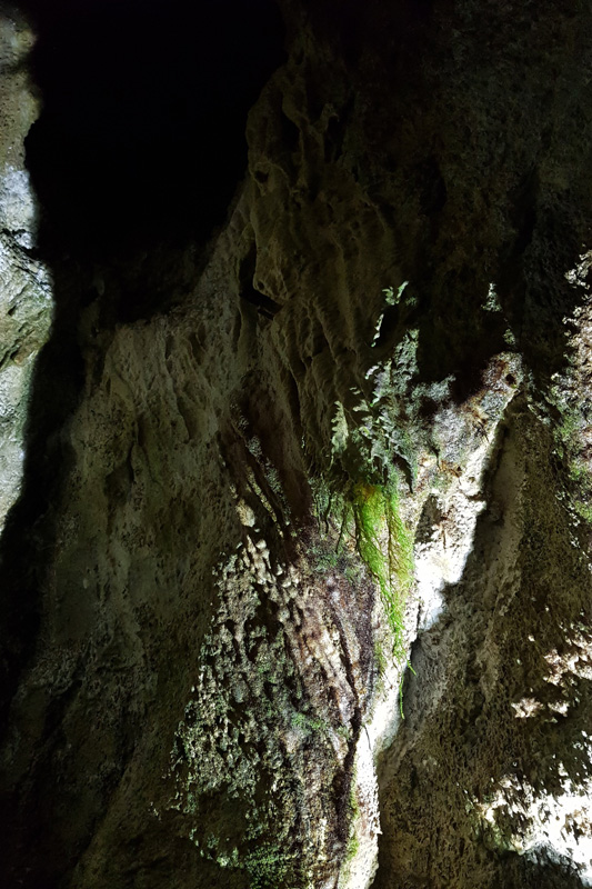 Visite - La Grotte aux fées