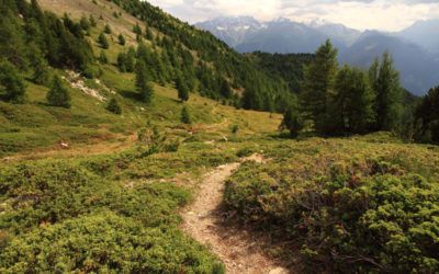 Autour de Scex Carro