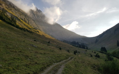 Brâme du cerf 2023, 2ème jour
