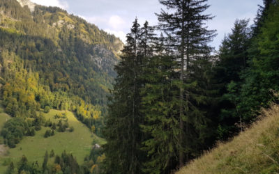 Brâme du cerf 2023, 1er jour avec Nature & Découvertes