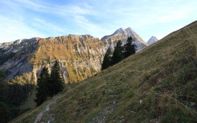 Brâme du cerf 2023, 3ème jour