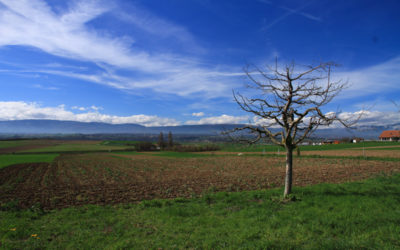 Sullens, Pelote de réjection avec Nature & Découvertes