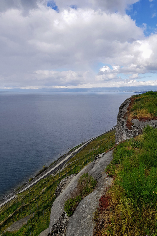 Randonnée - Lavaux, patrimoine de l’UNESCO