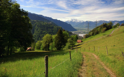 Les Avants, Neige de mai avec Nature & Découvertes