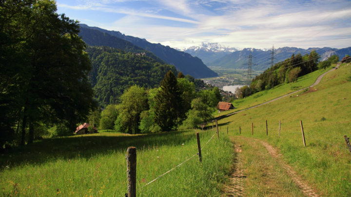 Les Avants, Neige de mai avec Nature & Découvertes