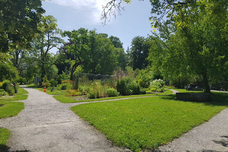 Visite - Bota, Jardin Botanique de l’Université de Fribourg