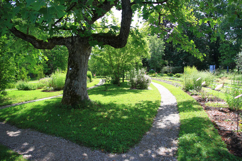 Visite - Bota, Jardin Botanique de l’Université de Fribourg