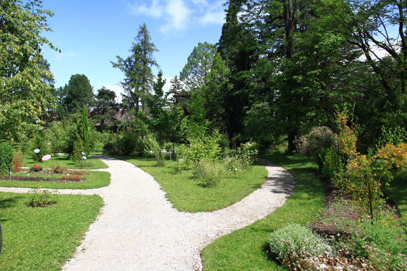 Visite - Bota, Jardin Botanique de l’Université de Fribourg