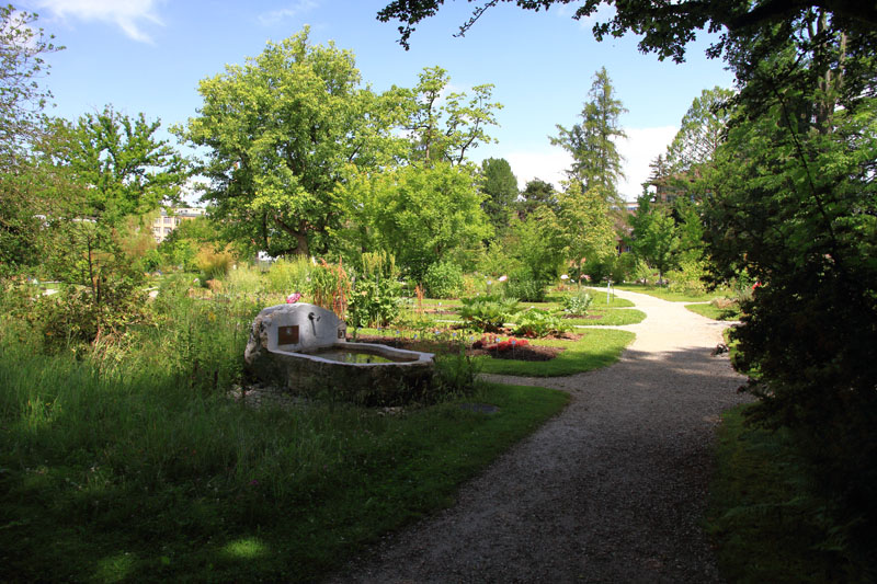 Visite - Bota, Jardin Botanique de l’Université de Fribourg