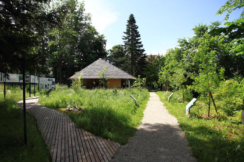 Visite - Bota, Jardin Botanique de l’Université de Fribourg