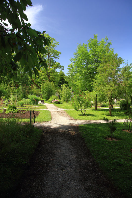 Visite - Bota, Jardin Botanique de l’Université de Fribourg