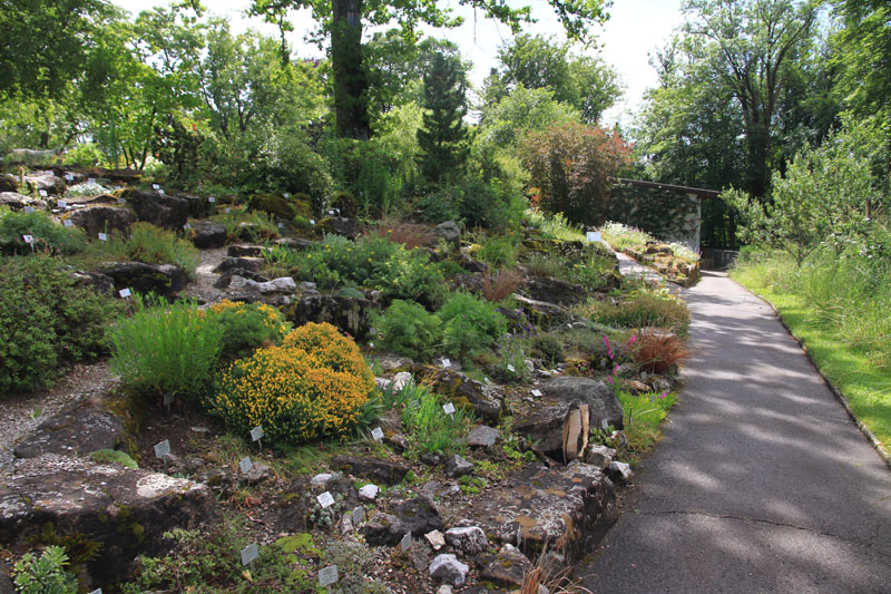 Visite - Bota, Jardin Botanique de l’Université de Fribourg