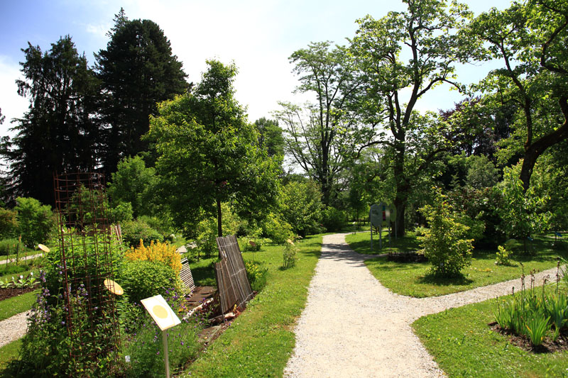 Visite - Bota, Jardin Botanique de l’Université de Fribourg