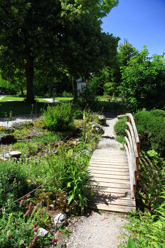 Visite - Bota, Jardin Botanique de l’Université de Fribourg