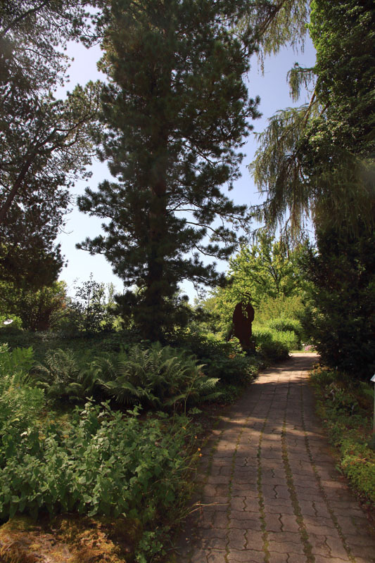 Visite - Bota, Jardin Botanique de l’Université de Fribourg