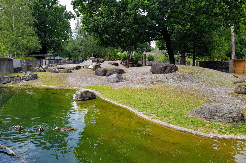 Visite - Parc zoologique Dählhölzli