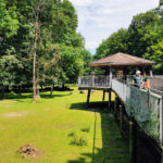Visite - Parc zoologique Dählhölzli