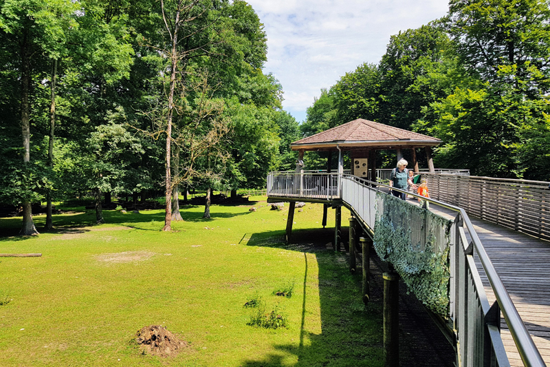 Parc zoologique Dählhölzli