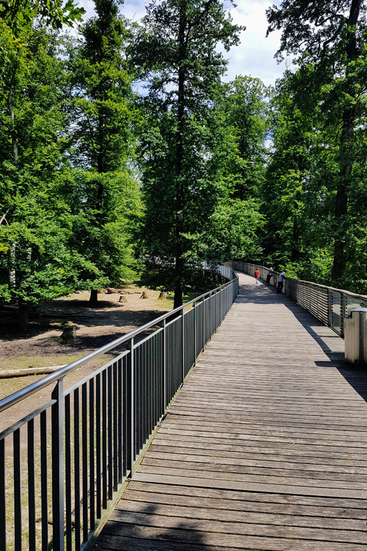 Visite - Parc zoologique Dählhölzli