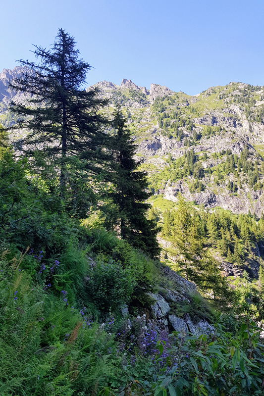 Randonnée - Les Marécottes - La Tinde