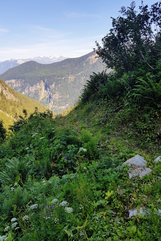 Randonnée - Les Marécottes - La Tinde
