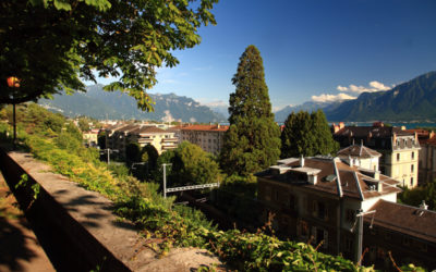 Chauve-souris avec Nature & Découvertes