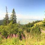 Randonnée - Sommet de La Berra