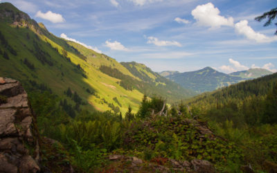 Morgins – Cantine la Tovassière