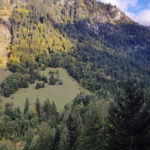 Randonnée - Brame du cerf 2024