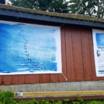 Randonnée - ExpoNature, chemin didactique et cyanotype - Cyanotype